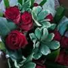 katy bray - @katy.bray - TikTok