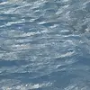 bush.katy - @bush.katy - TikTok