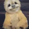 katybush258 - @katybush258 - TikTok