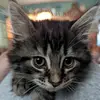 kathi cable706 - @kathicable - TikTok