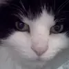 Kathy Cable448 - @kathycable448 - TikTok