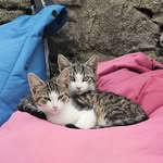 Katy Call - @katycall6 - Instagram