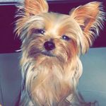 Katy Campos🐶 - @kattycamposg - Instagram