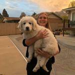 Katy Carson Timothy - @katycarsontimothy - Instagram