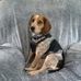Kathy Caster - Facebook
