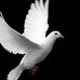 Kathy Chambers - Facebook