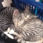 Katy & Chase - @chaseandkaty - Instagram