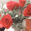 Katy Chavez - @katy_chavez - TikTok