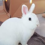 Katy Clements - Facebook