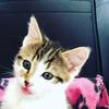 katyclements496 - @katyclements496 - TikTok