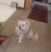 Kathy Compton - Facebook