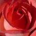 Kathy Compton - Facebook