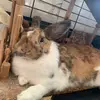 KATyCONEJI12 - @katyconeji12 - TikTok