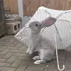 katy.connell - @katy.connell - TikTok