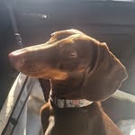 Katy Cook - @_katy_cookie_ - Instagram
