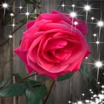 Kathy Corbett - @kathyskraft - Instagram
