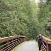 Kathy Cross - @hotdigabear - TikTok