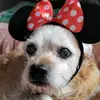 Kathy Crowe256 - @kathycrowe256 - TikTok