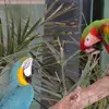 Kathy Crowe855 - @kathycrowe855 - TikTok