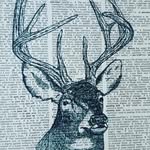 Katy Davidson - @katyspaperhouse - Instagram
