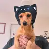 katyriveiradavidson - @katyriveiradavidson - TikTok