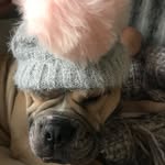 Kate Dempsey - @queenycat007 - Instagram