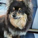 Kathy Dennison - @jkathydennison - Instagram