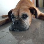 Katy Dibot - @katydibot - Instagram
