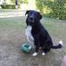 Katy Dobson - Facebook