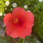Kathy Dodson - @kathy.dodson.520 - Instagram