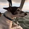 Kathy Doran - @kathy.doran67 - TikTok