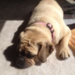Katy Doran - @anti_gramma - Instagram