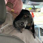 Katy Doran Herrington - @katyjoy0722 - Instagram