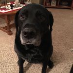 Kathy Downing - @downing.kathy - Instagram