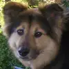 Kathy Downing - @user262570812645 - TikTok