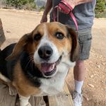 Kathy Downing - @kathy.downing.503 - Instagram