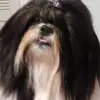 Kathy Downing - @kathydowning5 - TikTok