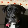 katy - @katydowns - TikTok