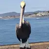 katy - @katydoyle_ - TikTok