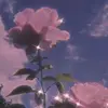 sanchezcanokatya05 - @katya_dullgirl - TikTok