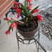 Kathy Dutton - Facebook