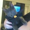 katydutton7 - @katydutton7 - TikTok