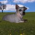 Kathy Elwell - Facebook