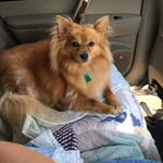 Kathy Etheridge - @kathy_etheridge_ - Instagram