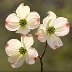 Kathy Etheridge - @kathyetheridge6 - Instagram