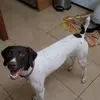 Katy Fee - @katy.fee - TikTok