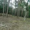 katy_fish_3 - @katy_fish_3 - TikTok