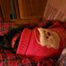 Katy Fitzpatrick - Facebook