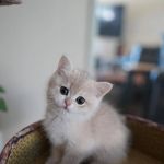 Katy Fitzpatrick - @fitzpatrick71 - Instagram