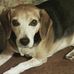 Kate Hanlon - Facebook